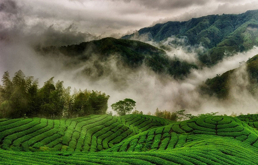 Bangalore to Ooty outstation cab tour package Karnataka